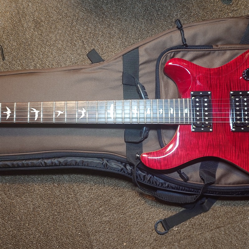 P.R.S. se  custom24の画像